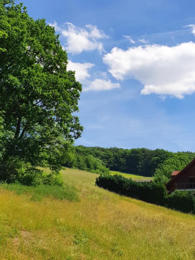 Odenwald-Lodge Mit Infrarotsauna Und E-Ladestation "Haus Purpur" Reichelsheim Exterior photo