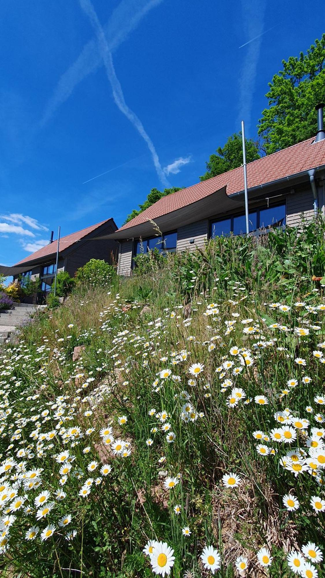 Odenwald-Lodge Mit Infrarotsauna Und E-Ladestation "Haus Purpur" Reichelsheim Exterior photo